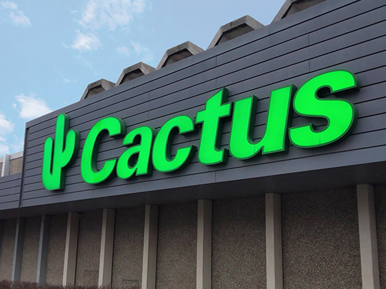Lettres boitiers LED du magasin Cactus