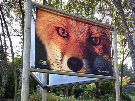 Impression sur supports souples